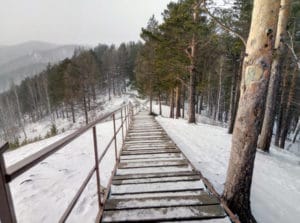 Деревянная дорога не даст заблудиться в лесу помогая легко выйти из него