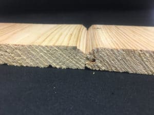 Фальшбрус крупным планом, Лес Кодры